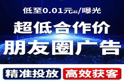 某某SEM服务公司成功案例：从数据出发的营销策略